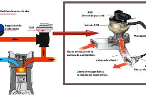 Guía para limpiar la válvula EGR de Fiat Doblo: consejos y pasos
