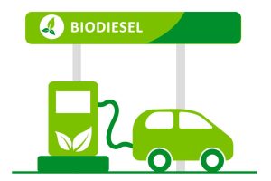 Descubre qué es el biodiésel: combustible vegetal y animal
